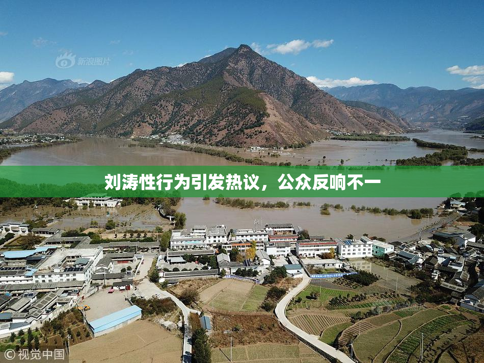 刘涛性行为引发热议，公众反响不一