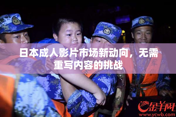 日本成人影片市场新动向，无需重写内容的挑战