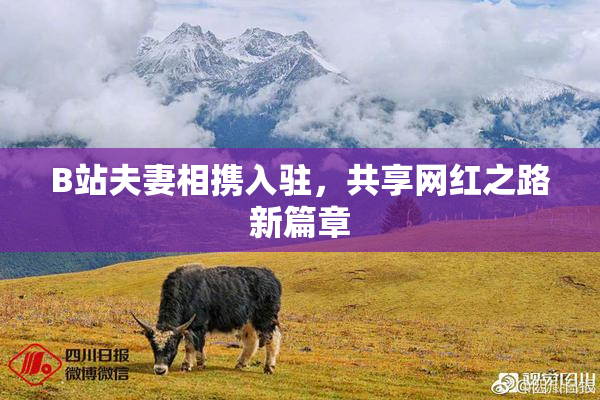 B站夫妻相携入驻，共享网红之路新篇章