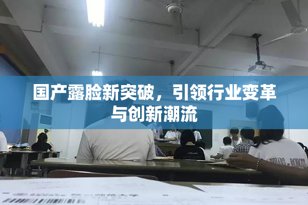 国产露脸新突破，引领行业变革与创新潮流