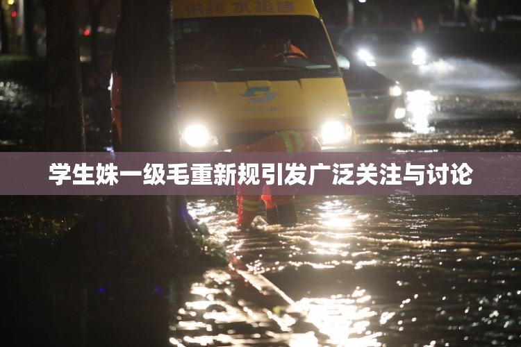 学生姝一级毛重新规引发广泛关注与讨论