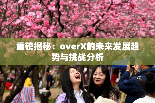 重磅揭秘：overX的未来发展趋势与挑战分析
