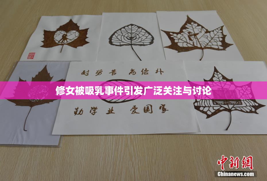 修女被吸乳事件引发广泛关注与讨论