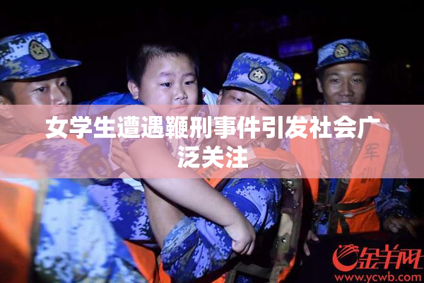 女学生遭遇鞭刑事件引发社会广泛关注