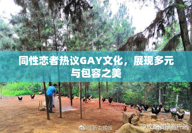同性恋者热议GAY文化，展现多元与包容之美