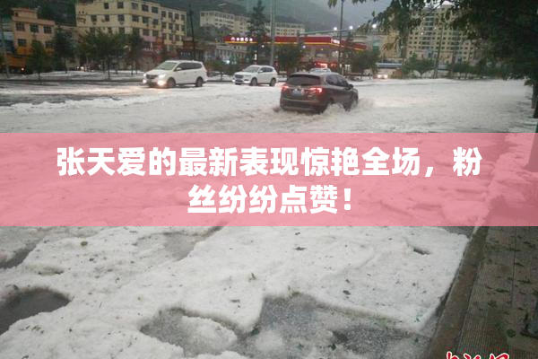 张天爱的最新表现惊艳全场，粉丝纷纷点赞！