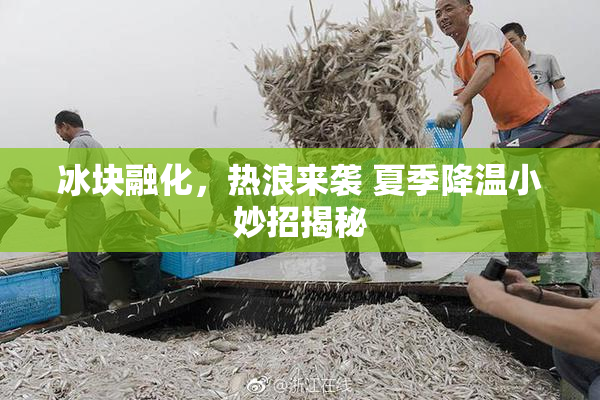 冰块融化，热浪来袭 夏季降温小妙招揭秘