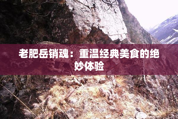 老肥岳销魂：重温经典美食的绝妙体验
