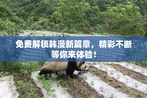 免费解锁韩漫新篇章，精彩不断等你来体验！