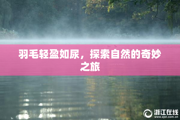 羽毛轻盈如尿，探索自然的奇妙之旅