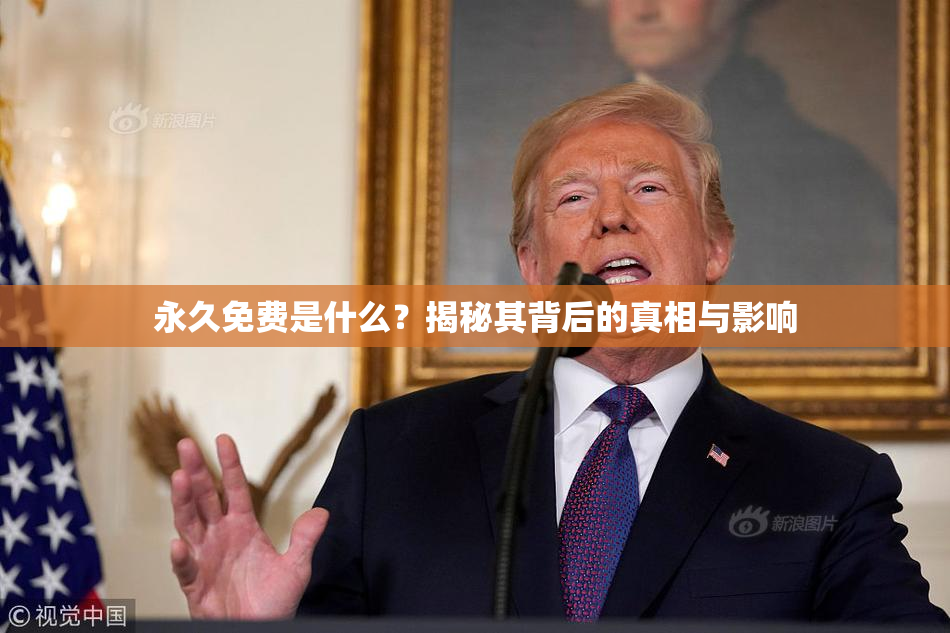 永久免费是什么？揭秘其背后的真相与影响