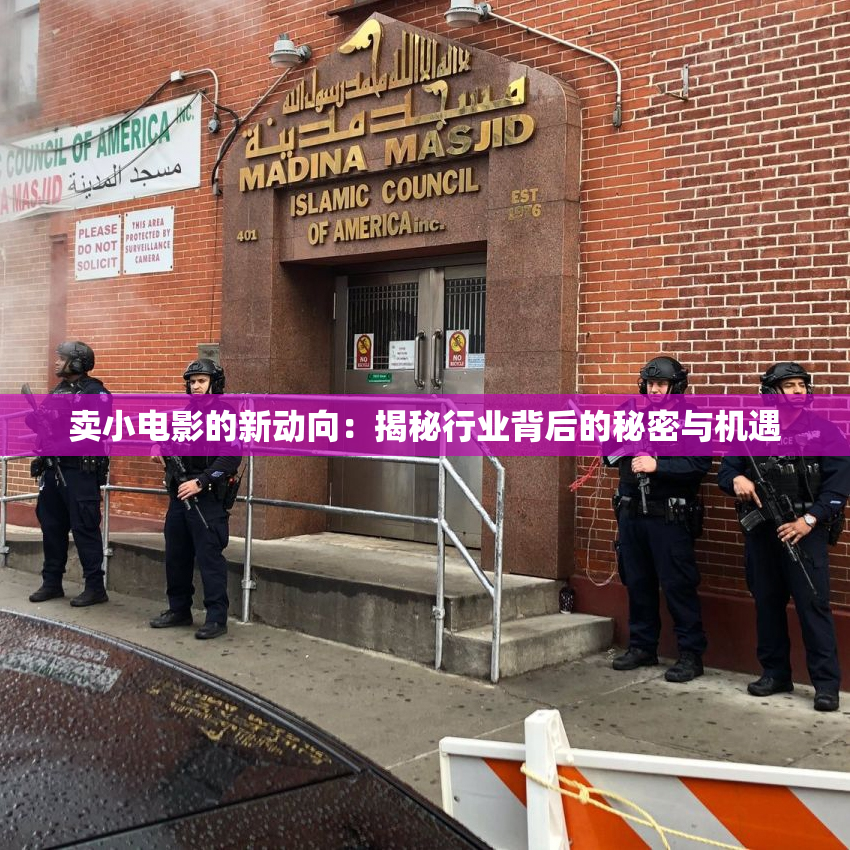 卖小电影的新动向：揭秘行业背后的秘密与机遇