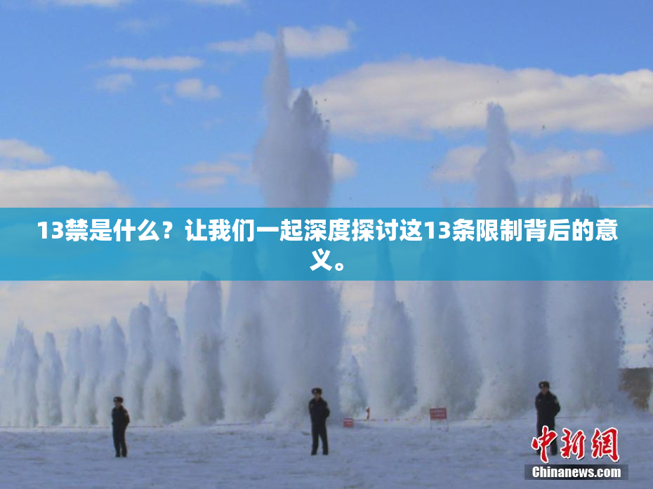 13禁是什么？让我们一起深度探讨这13条限制背后的意义。
