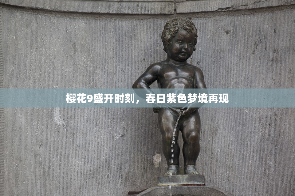 樱花9盛开时刻，春日紫色梦境再现