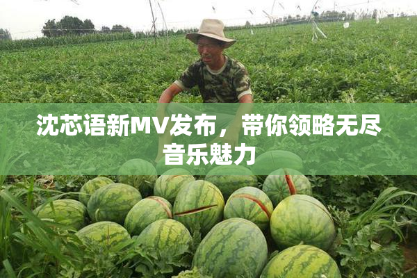 沈芯语新MV发布，带你领略无尽音乐魅力