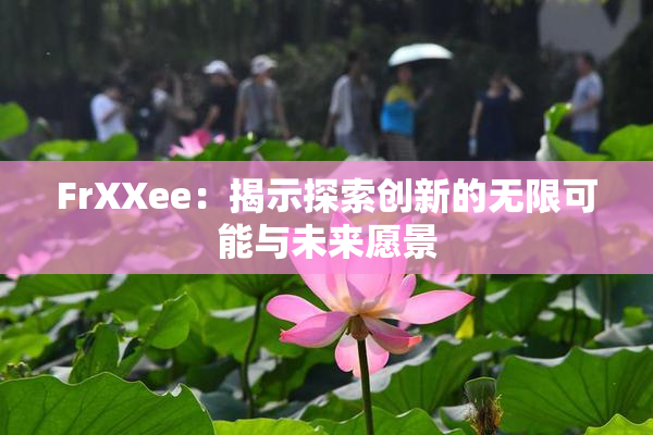 FrXXee：揭示探索创新的无限可能与未来愿景