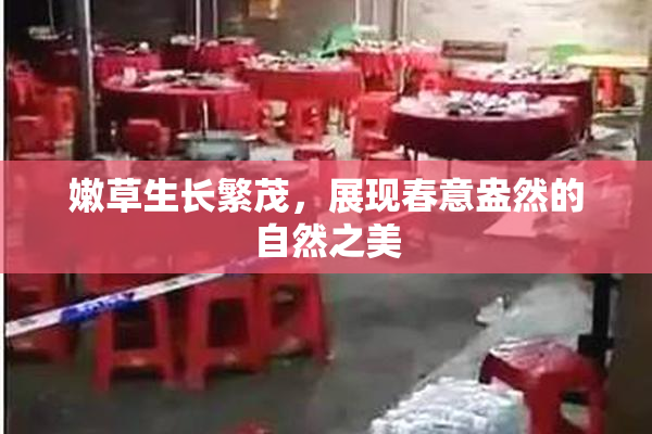 嫩草生长繁茂，展现春意盎然的自然之美