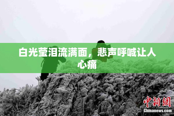 白光莹泪流满面，悲声呼喊让人心痛