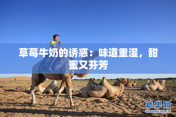 草莓牛奶的诱惑：味道重湿，甜蜜又芬芳