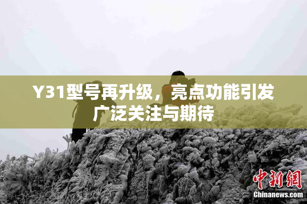 Y31型号再升级，亮点功能引发广泛关注与期待