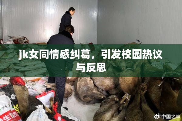 jk女同情感纠葛，引发校园热议与反思