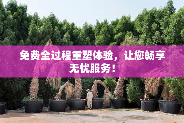免费全过程重塑体验，让您畅享无忧服务！