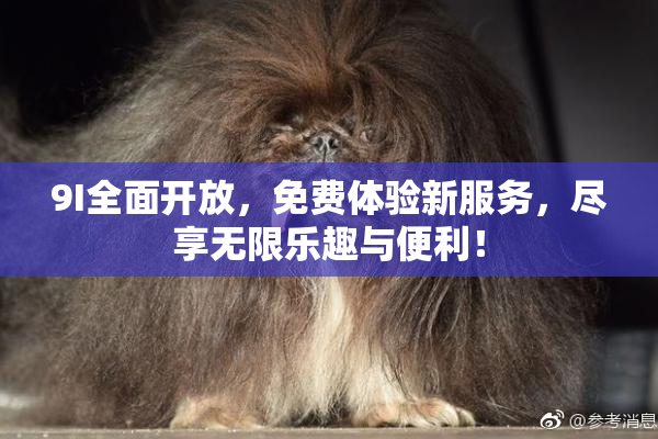 9I全面开放，免费体验新服务，尽享无限乐趣与便利！