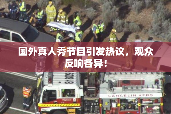 国外真人秀节目引发热议，观众反响各异！