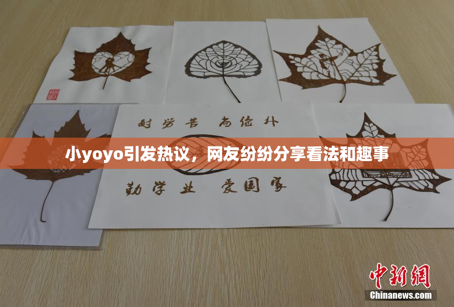 小yoyo引发热议，网友纷纷分享看法和趣事