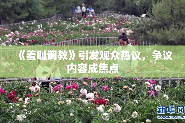 《羞耻调教》引发观众热议，争议内容成焦点