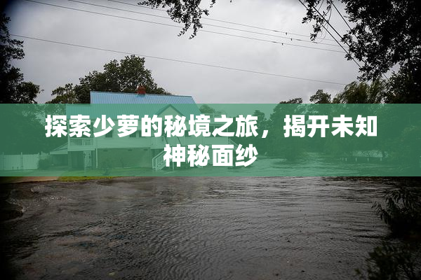 探索少萝的秘境之旅，揭开未知神秘面纱