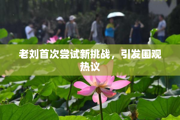 老刘首次尝试新挑战，引发围观热议