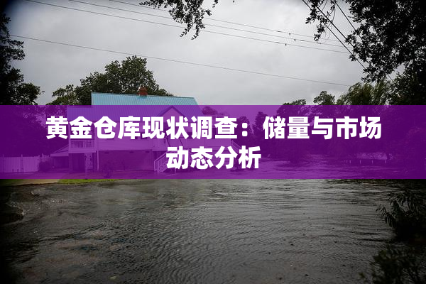 黄金仓库现状调查：储量与市场动态分析