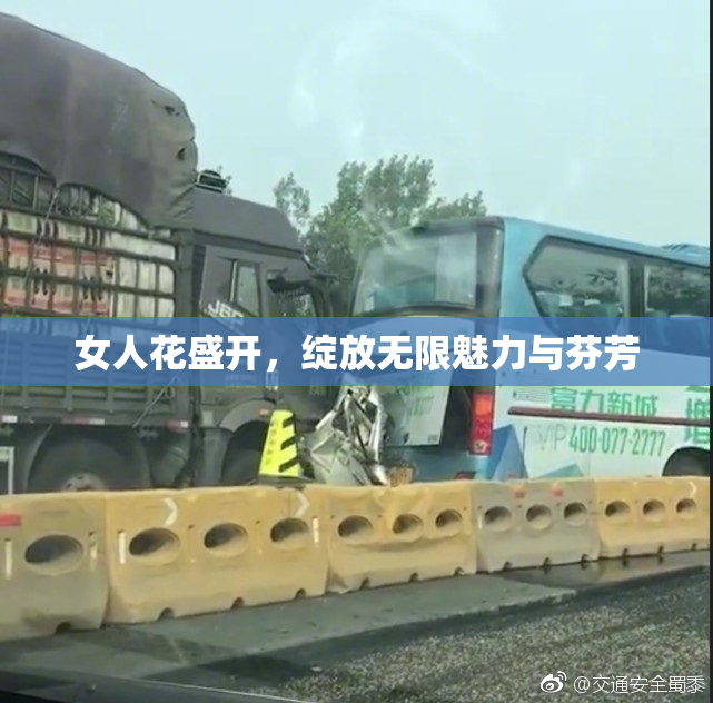 女人花盛开，绽放无限魅力与芬芳