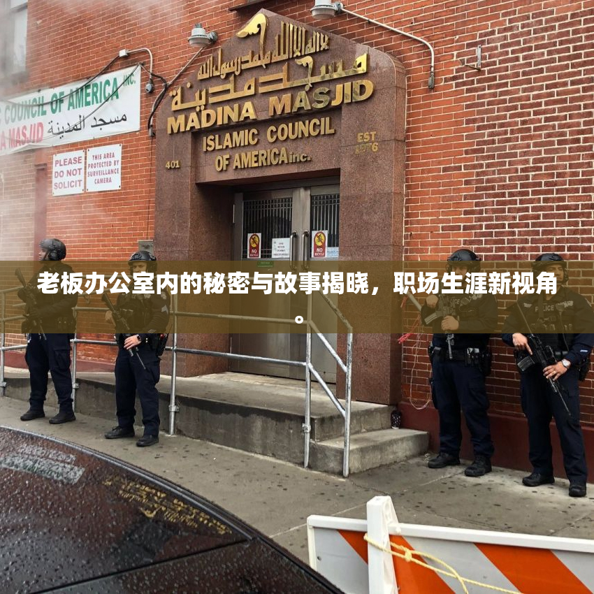老板办公室内的秘密与故事揭晓，职场生涯新视角。