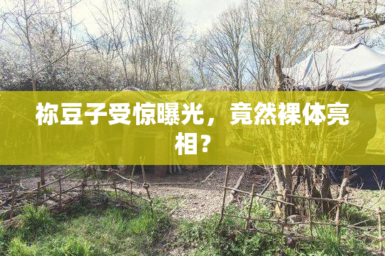 祢豆子受惊曝光，竟然裸体亮相？