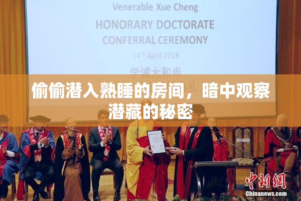 偷偷潜入熟睡的房间，暗中观察潜藏的秘密