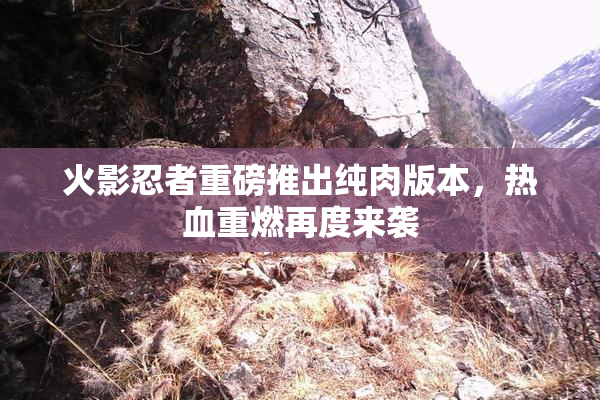 火影忍者重磅推出纯肉版本，热血重燃再度来袭