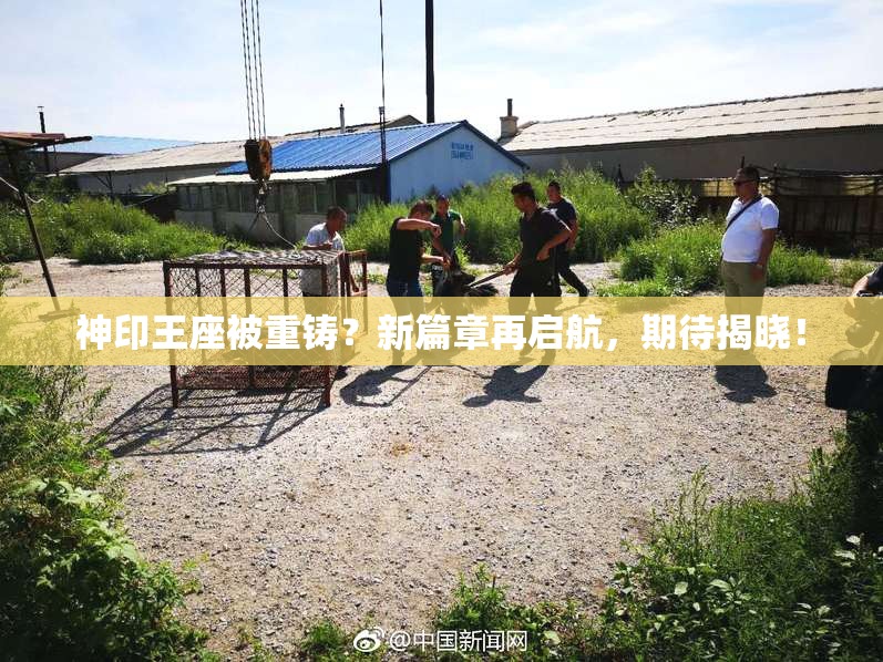 神印王座被重铸？新篇章再启航，期待揭晓！
