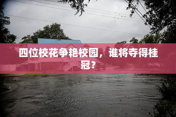 四位校花争艳校园，谁将夺得桂冠？