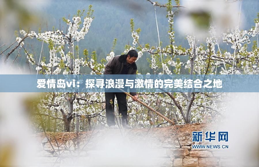 爱情岛vi：探寻浪漫与激情的完美结合之地
