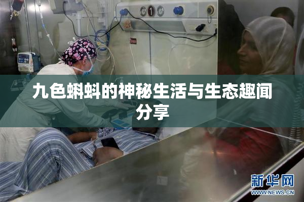 九色蝌蚪的神秘生活与生态趣闻分享