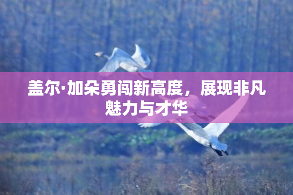 盖尔·加朵勇闯新高度，展现非凡魅力与才华
