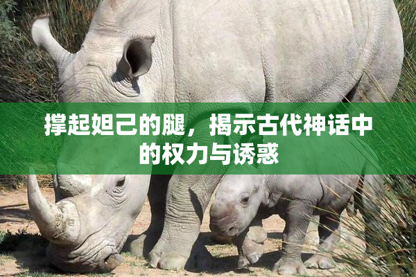 撑起妲己的腿，揭示古代神话中的权力与诱惑