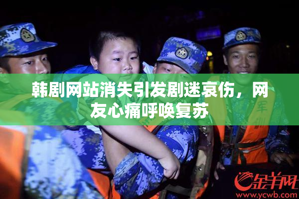 韩剧网站消失引发剧迷哀伤，网友心痛呼唤复苏