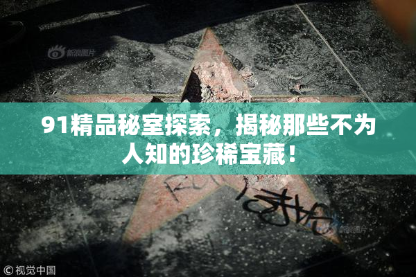 91精品秘室探索，揭秘那些不为人知的珍稀宝藏！