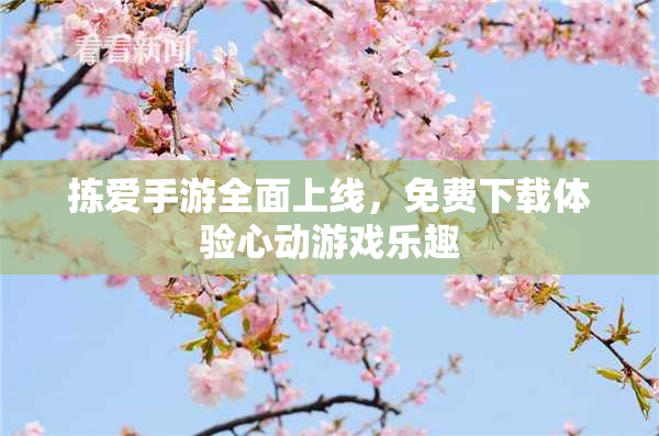 拣爱手游全面上线，免费下载体验心动游戏乐趣
