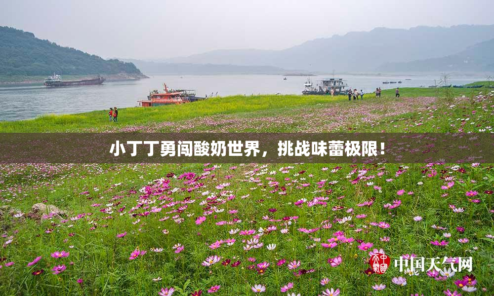 小丁丁勇闯酸奶世界，挑战味蕾极限！