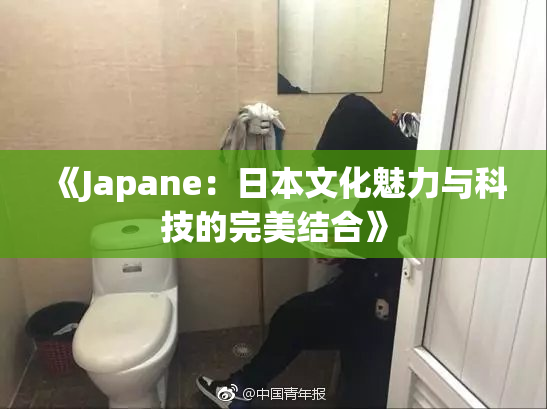 《Japane：日本文化魅力与科技的完美结合》