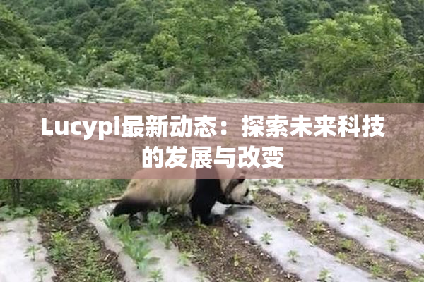 Lucypi最新动态：探索未来科技的发展与改变